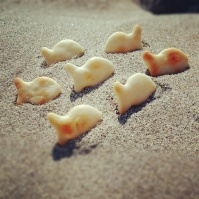 I was eating the crackers, and thought it would be fun to play with my food!